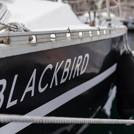 Guestready - Blackbird - Sailboat Experience Matosinhos (Porto)