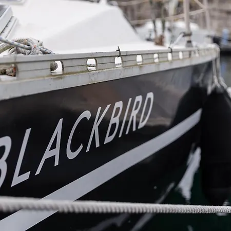 Guestready - Blackbird - Sailboat Experience * Matosinhos (Porto)